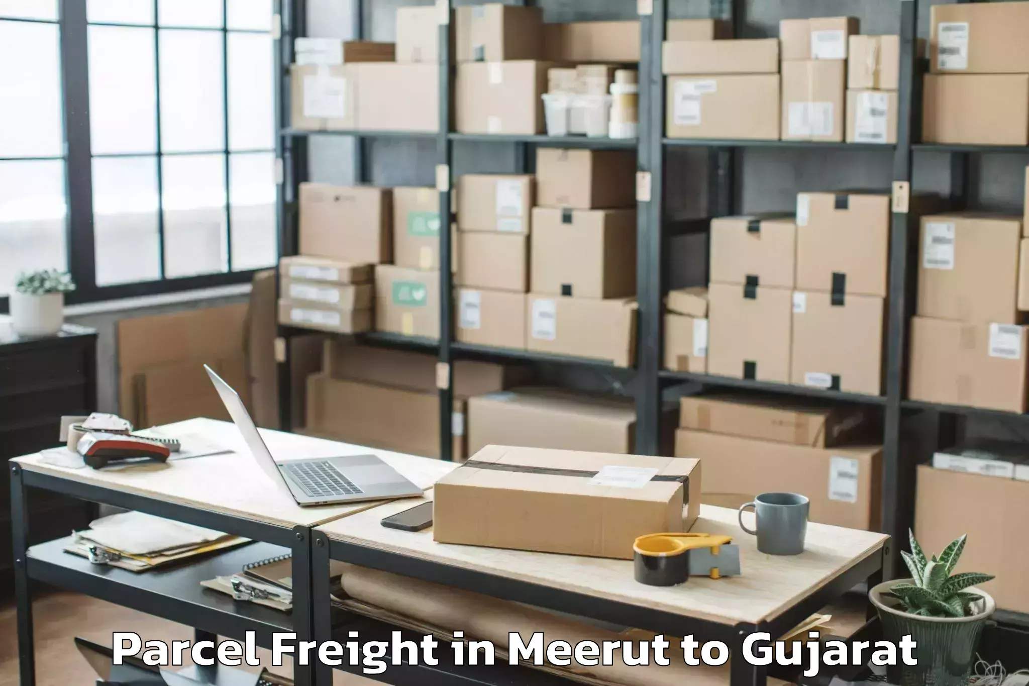 Leading Meerut to Damnagar Parcel Freight Provider